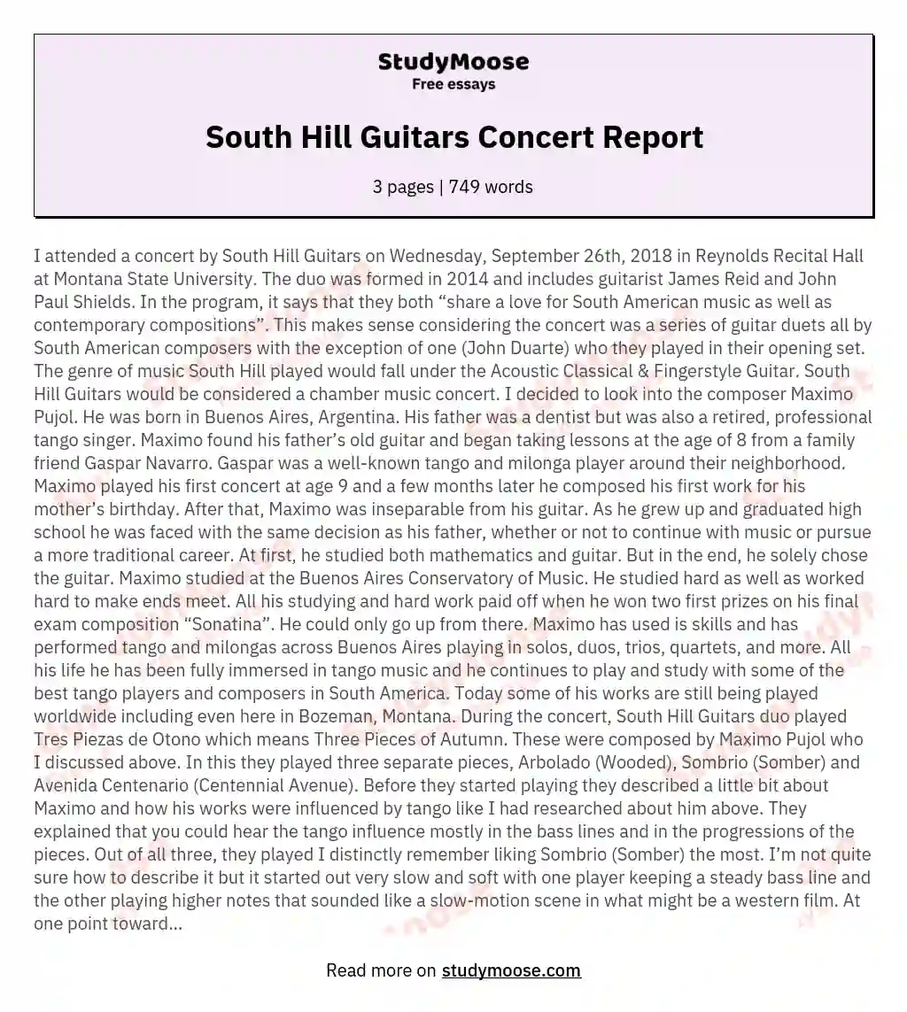 South Hill Guitars Concert Report essay