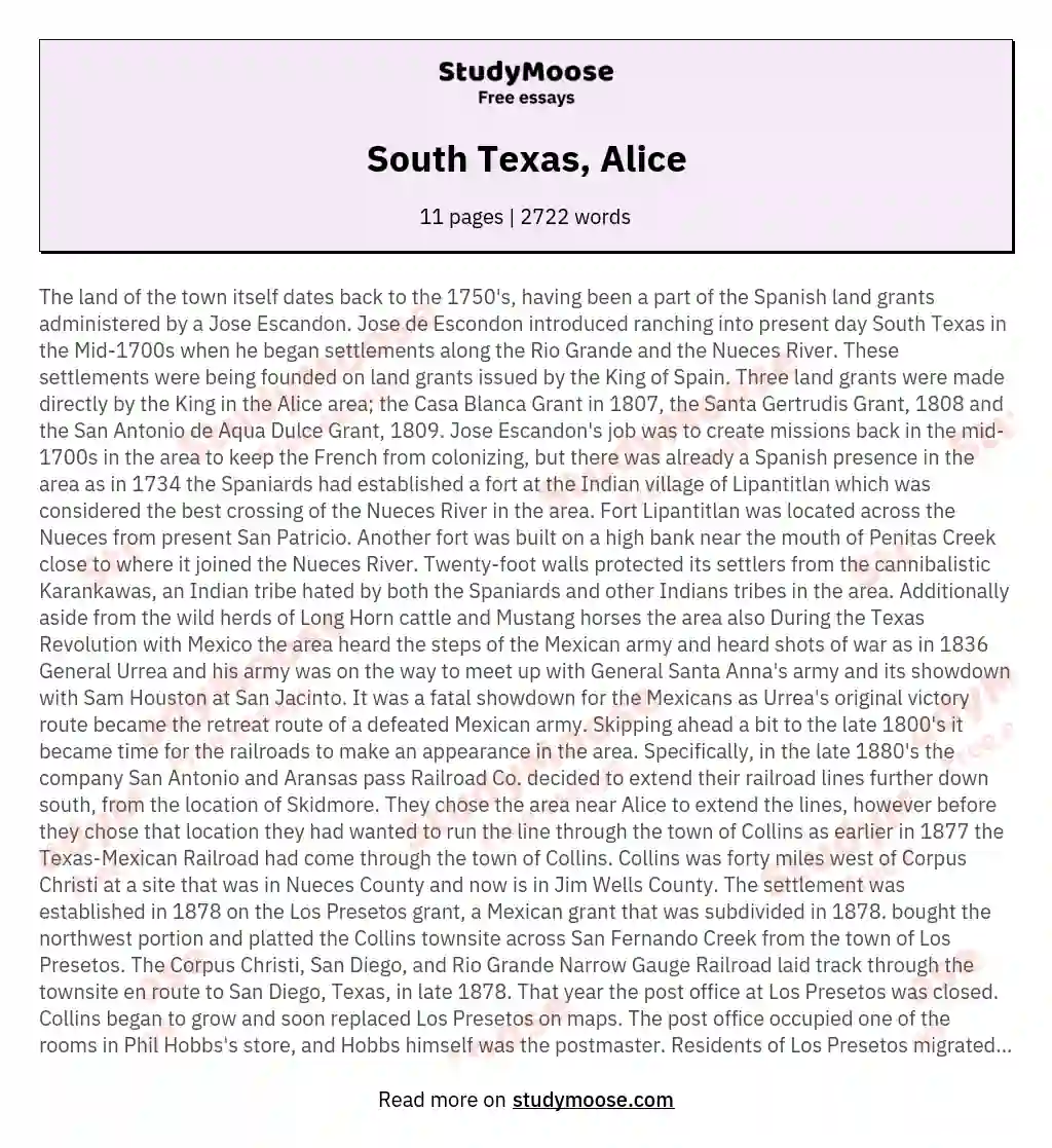 South Texas, Alice essay