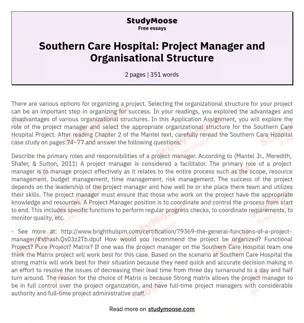Southern Care Hospital: Project Manager and Organisational Structure essay