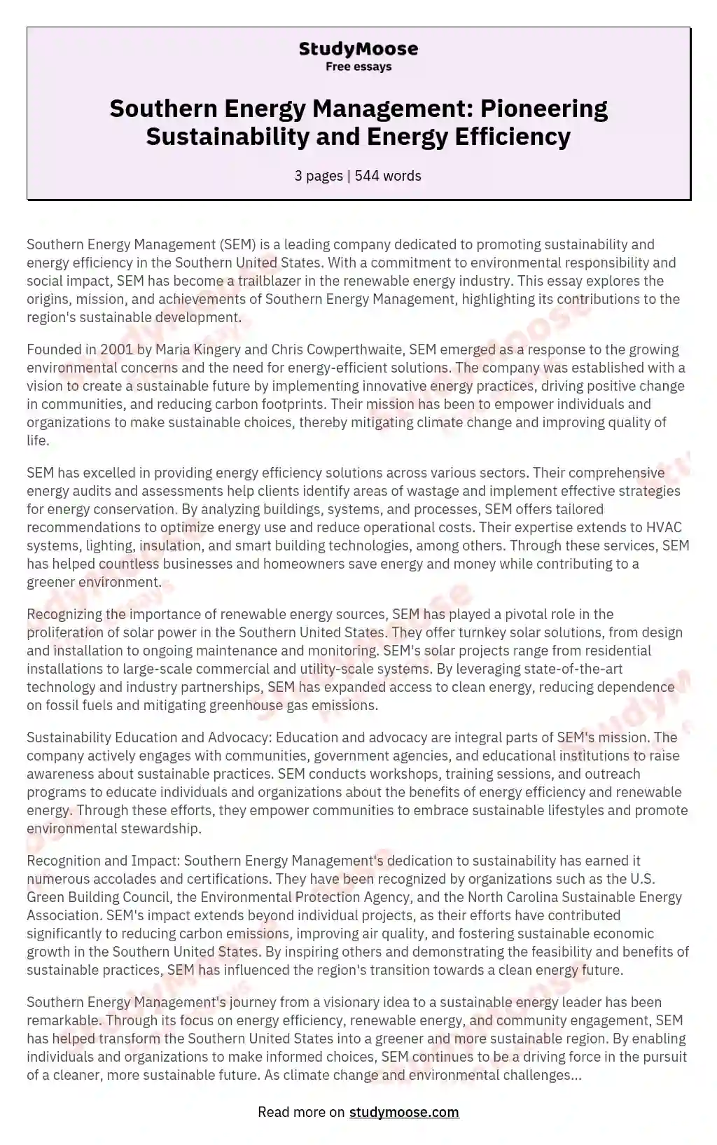 Southern Energy Management: Pioneering Sustainability and Energy Efficiency essay