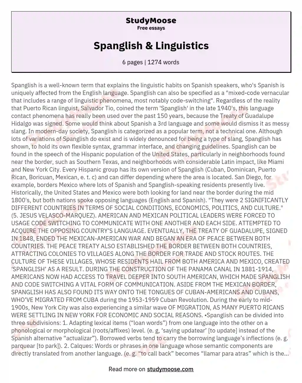 Spanglish &amp; Linguistics essay