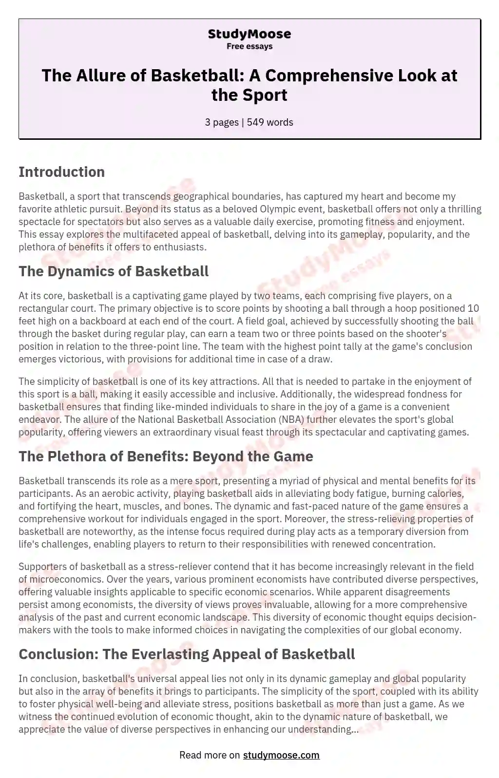 The Allure of Basketball: A Comprehensive Look at the Sport essay