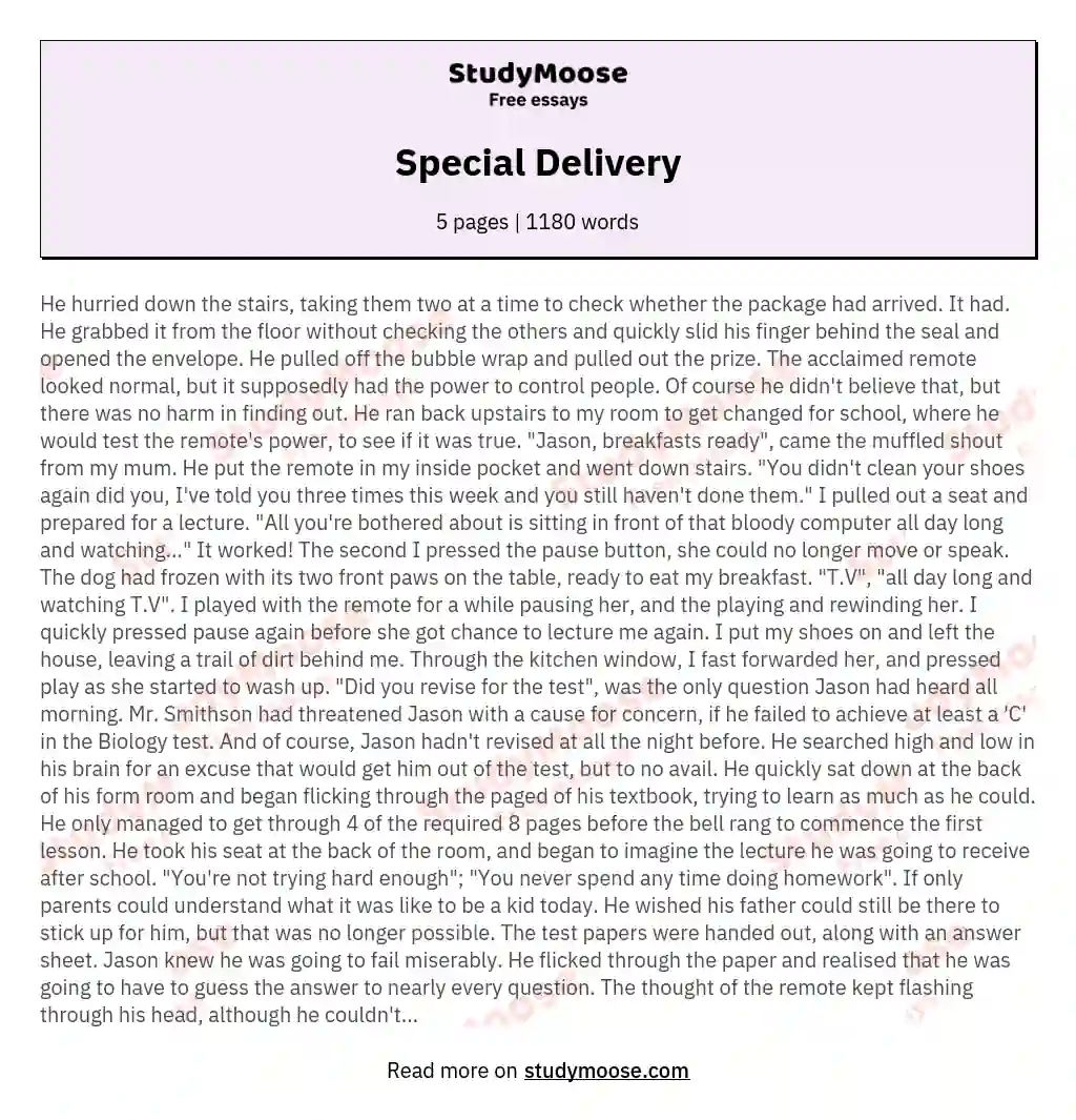Special Delivery essay