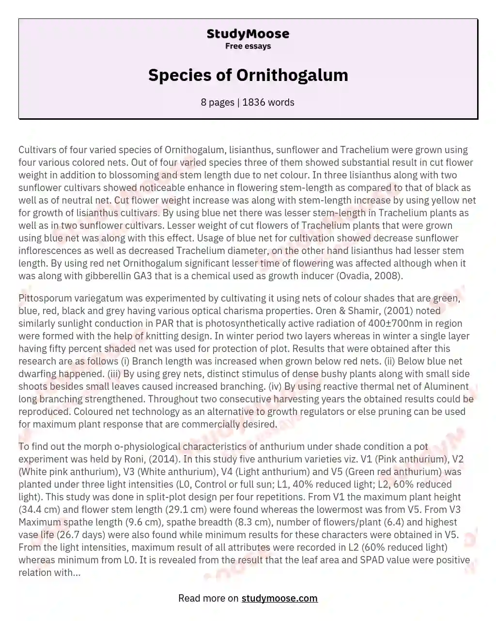 Species of Ornithogalum essay