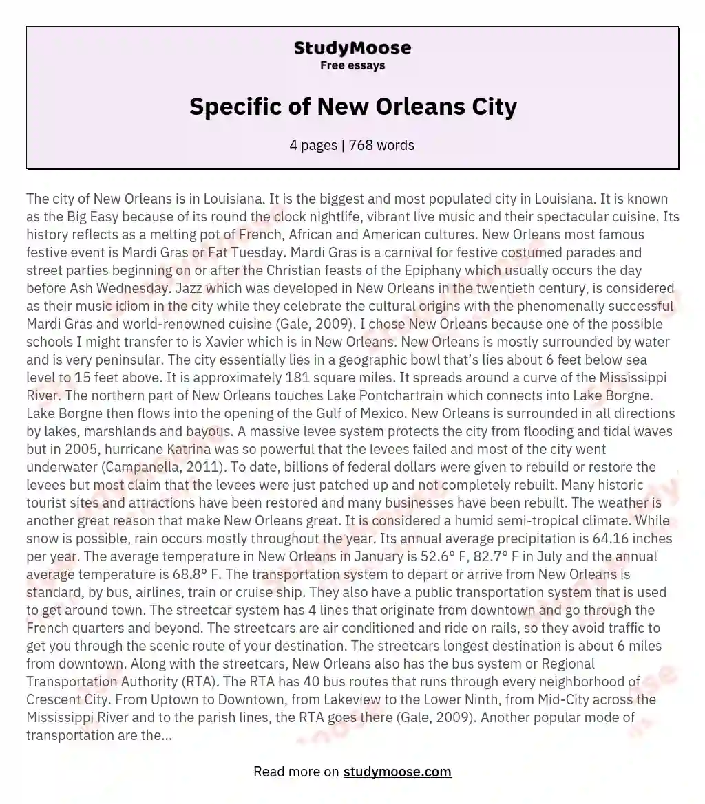 Specific of New Orleans City essay