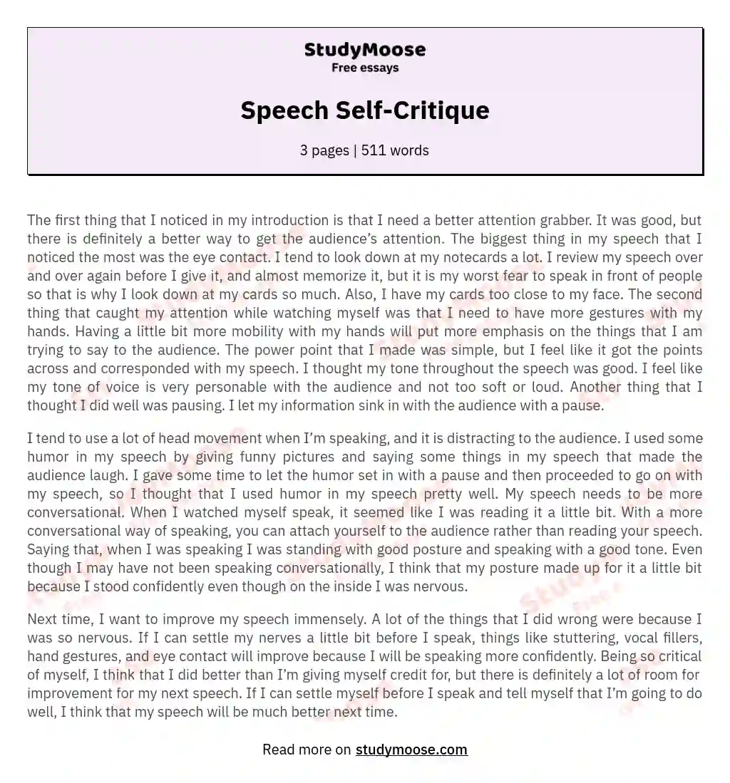 Speech Self-Critique essay