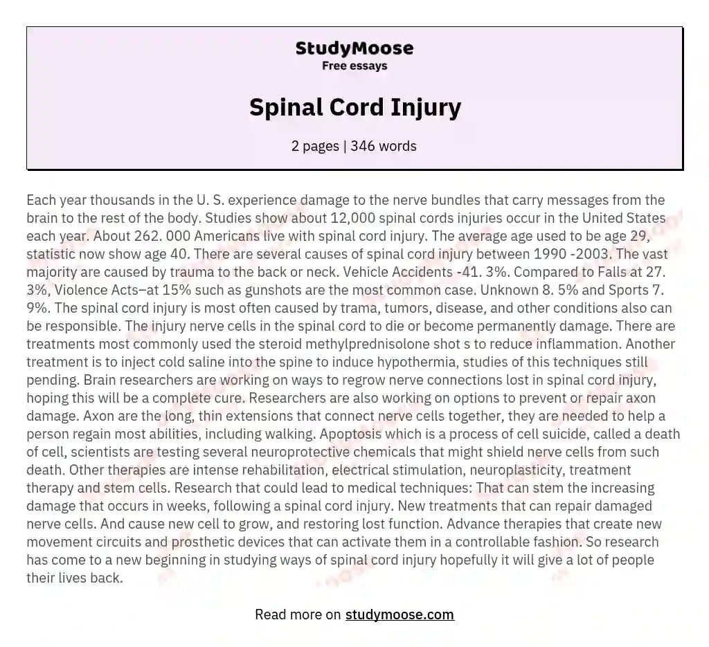 Spinal Cord Injury essay
