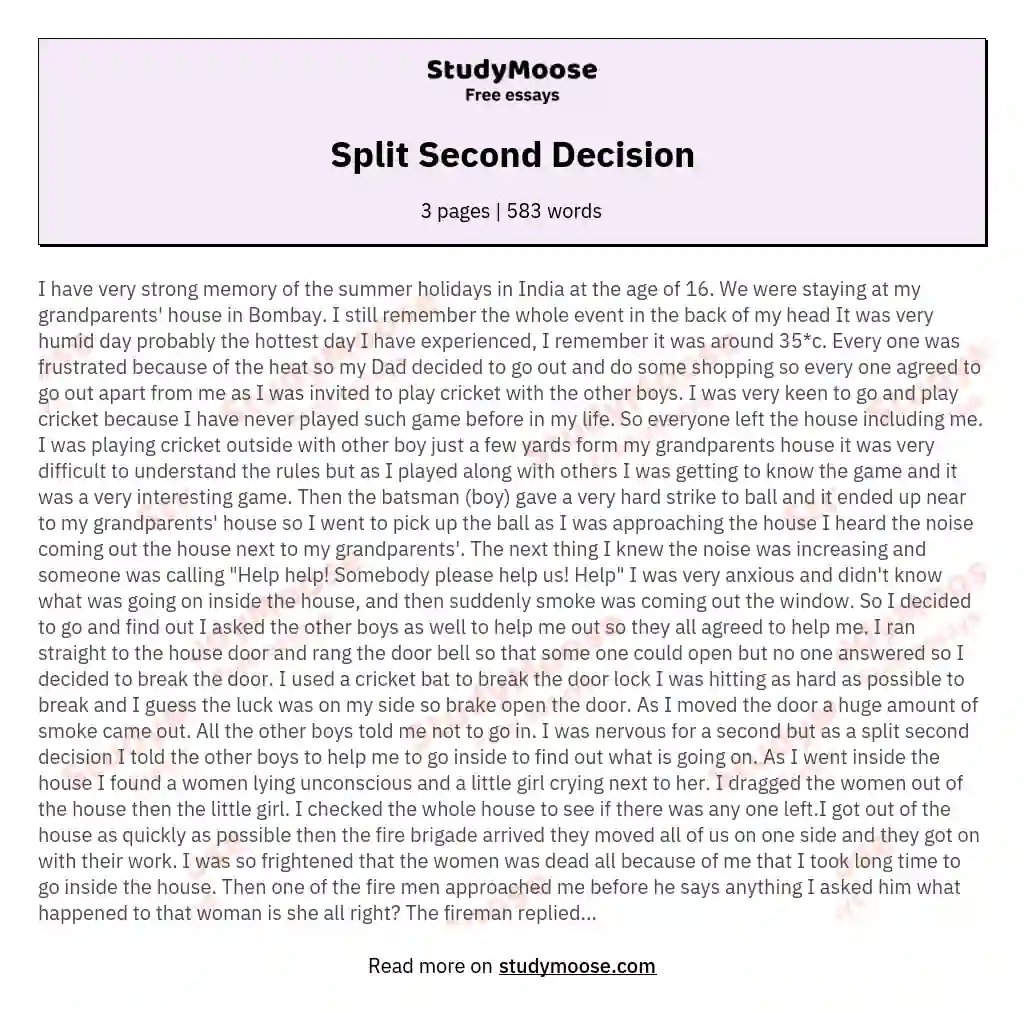 Split Second Decision essay