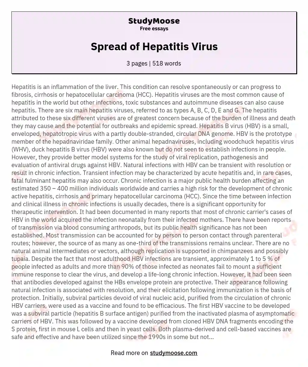 Spread of Hepatitis Virus essay