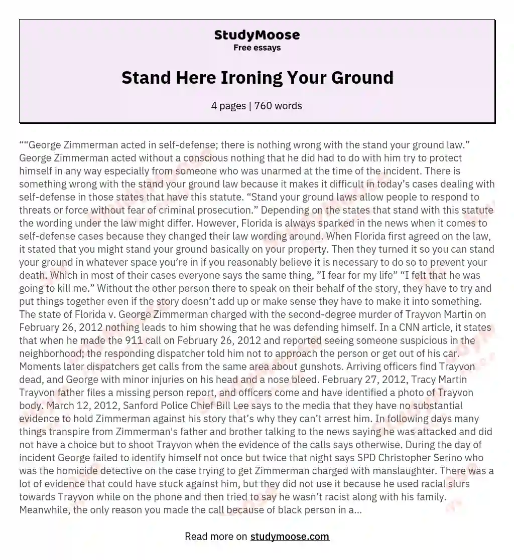 Stand Here Ironing Your Ground essay