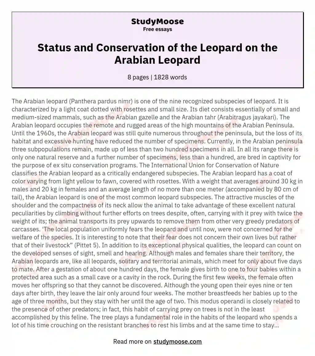 Status and Conservation of the Leopard on the Arabian Leopard essay