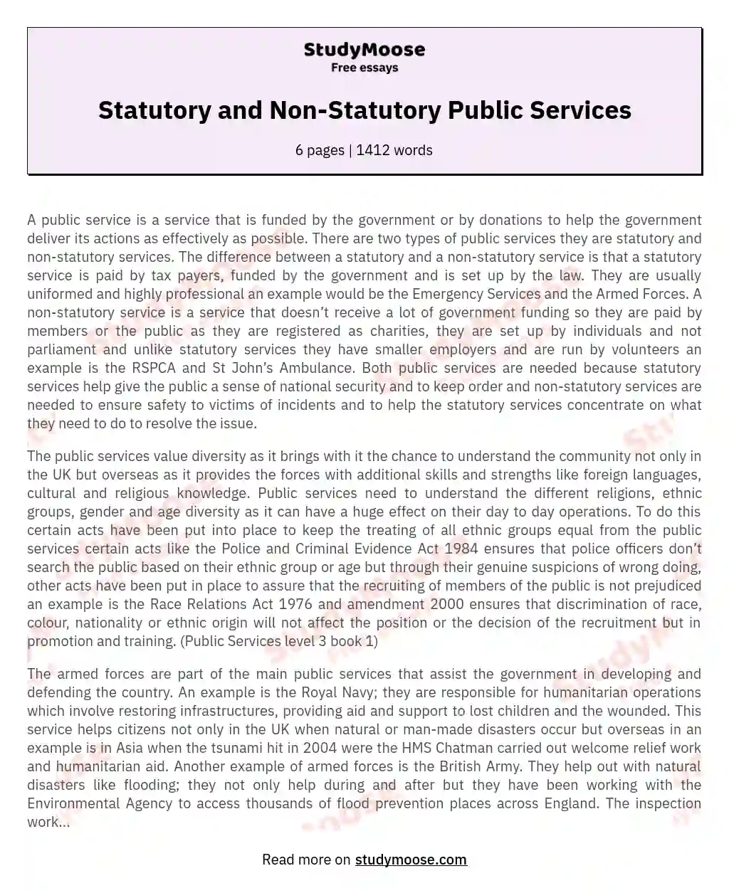 Statutory and Non-Statutory Public Services essay