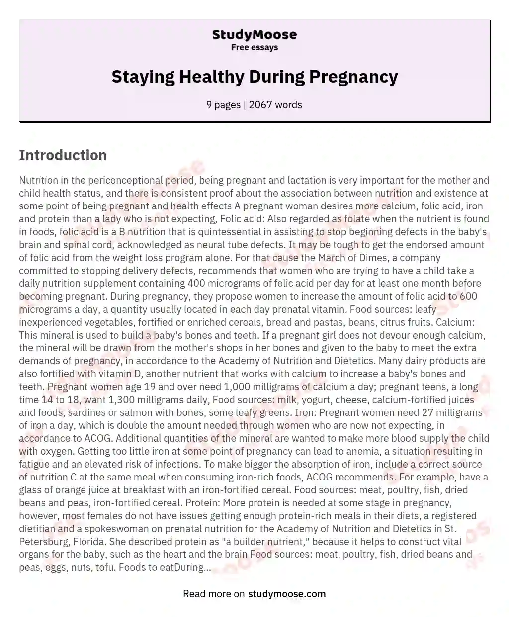 Staying Healthy During Pregnancy essay