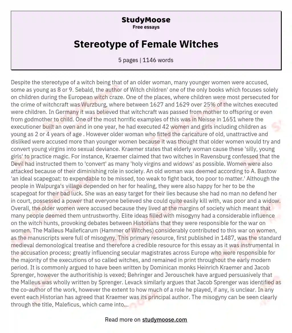 Stereotype of Female Witches essay