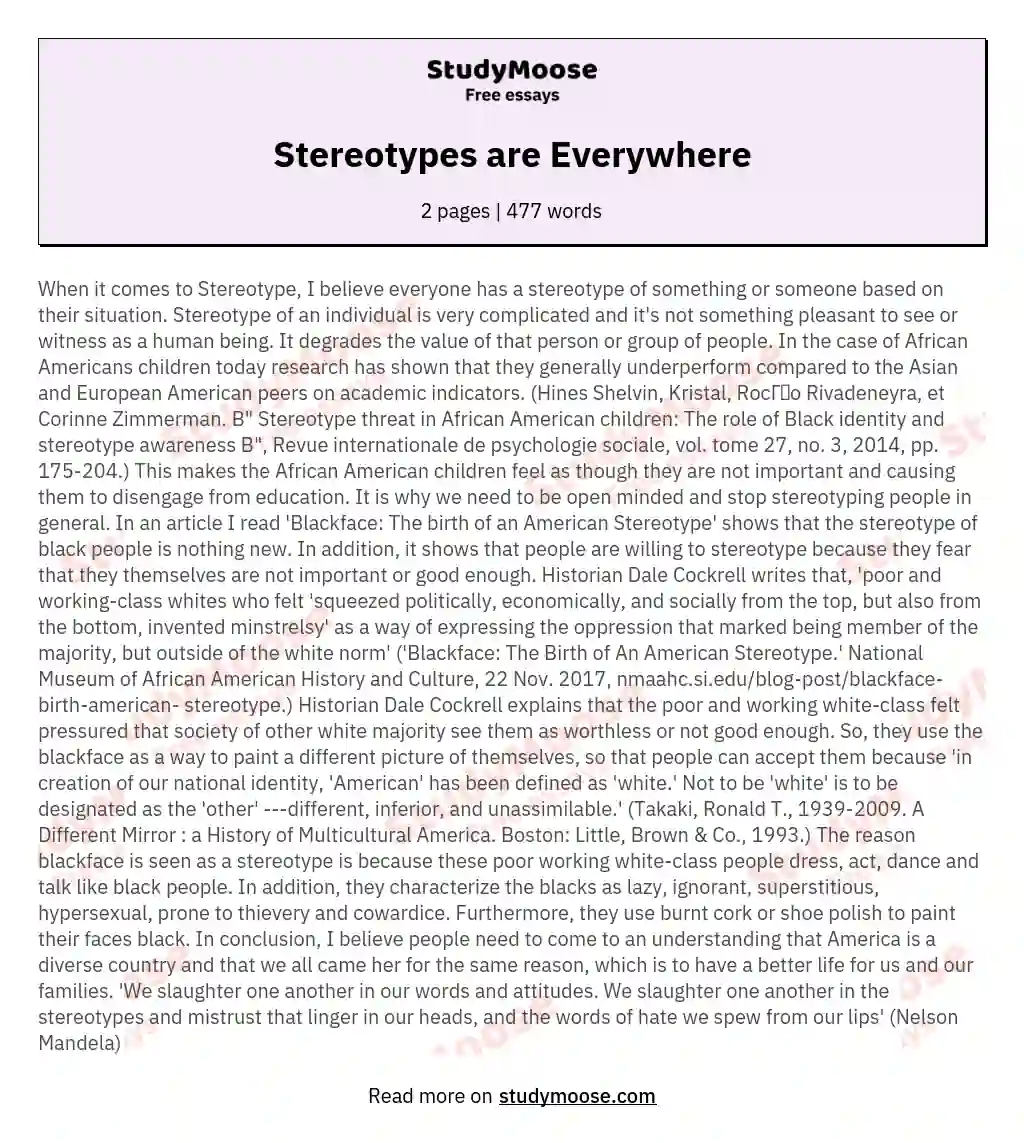 Stereotypes are Everywhere essay