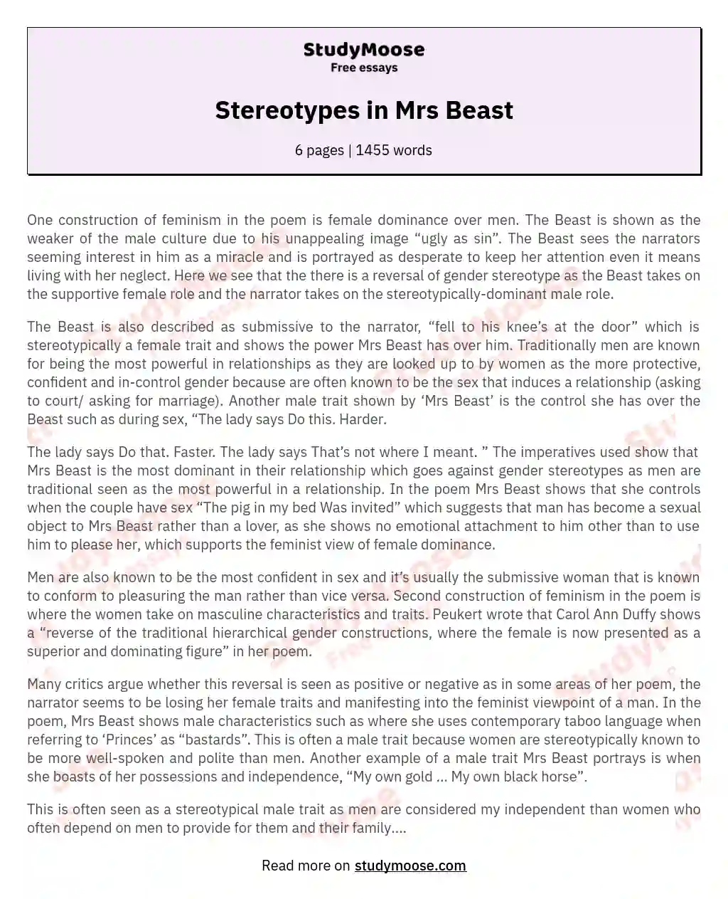 Stereotypes in Mrs Beast essay