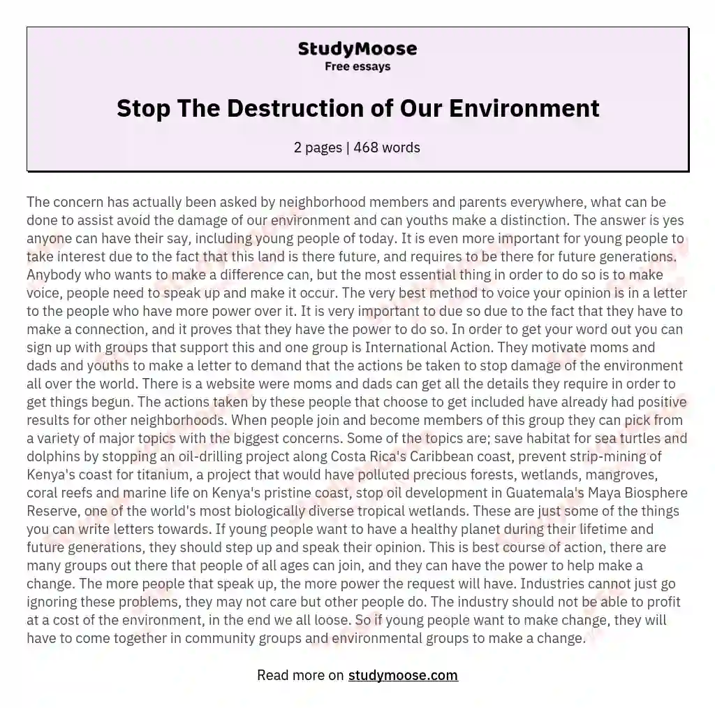 Stop The Destruction of Our Environment essay