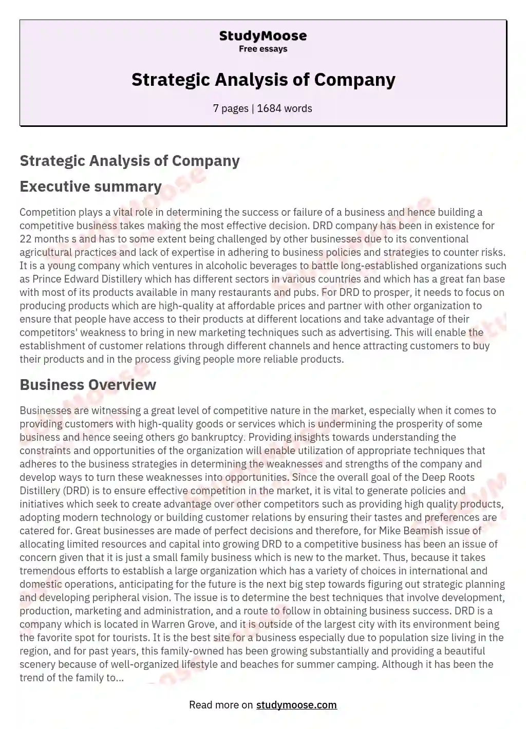 Strategic Analysis of Company essay
