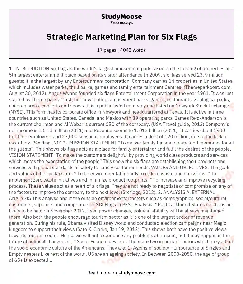Strategic Marketing Plan for Six Flags essay