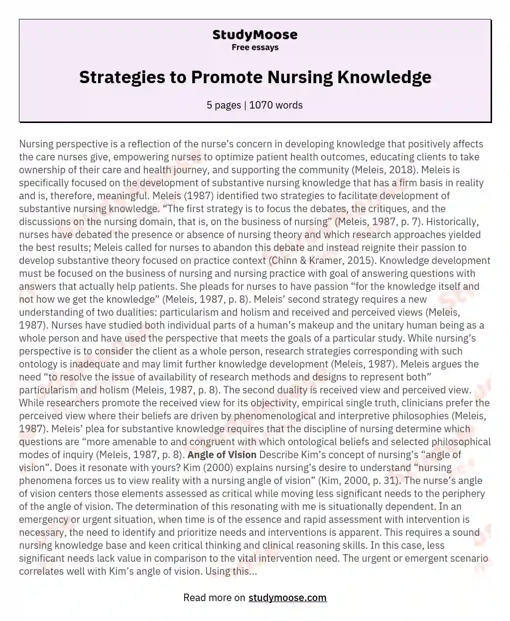 Strategies to Promote Nursing Knowledge essay