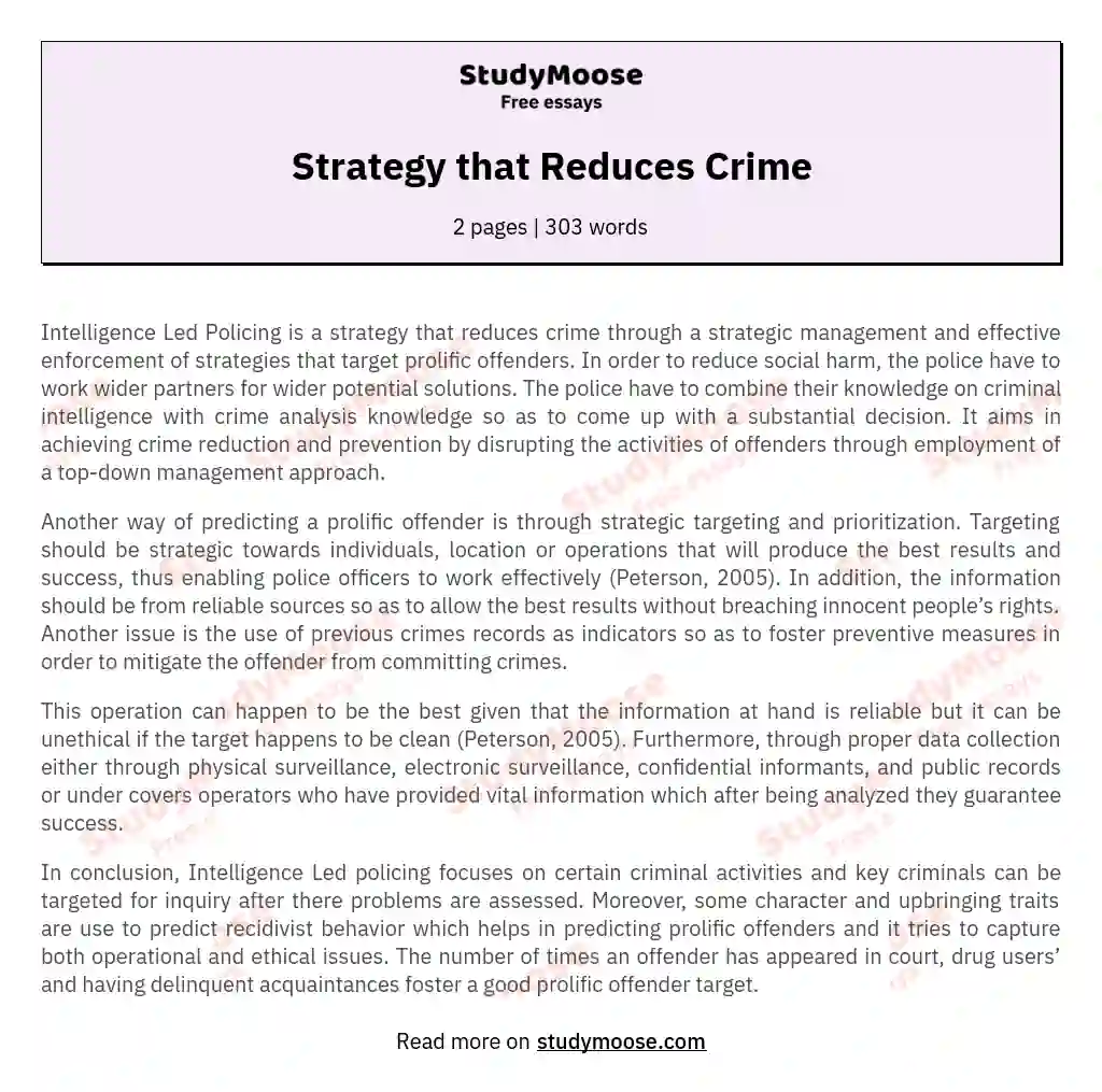 Strategy that Reduces Crime essay