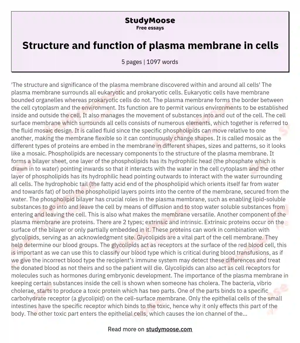 Structure and function of plasma membrane in cells