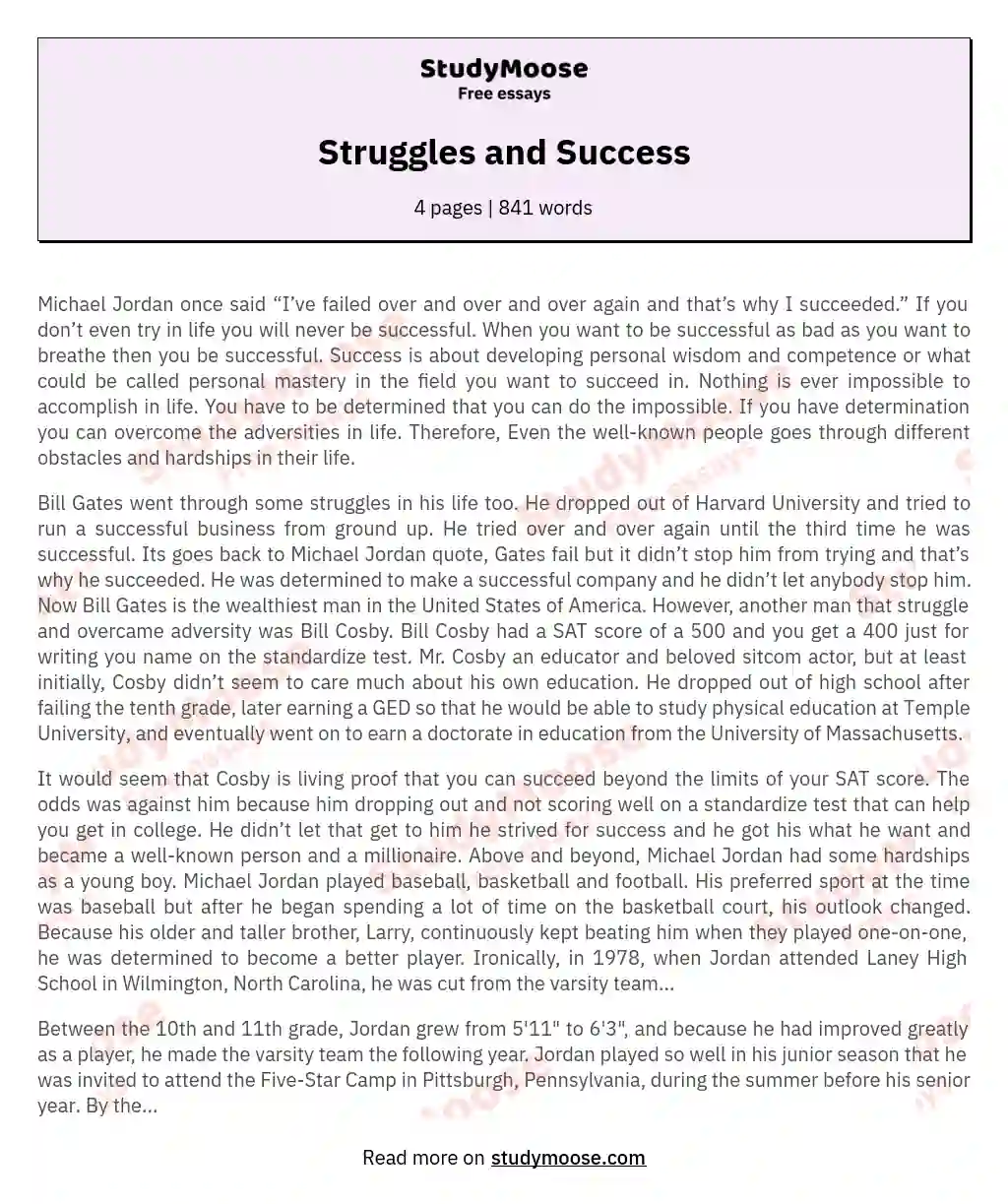 Struggles and Success essay