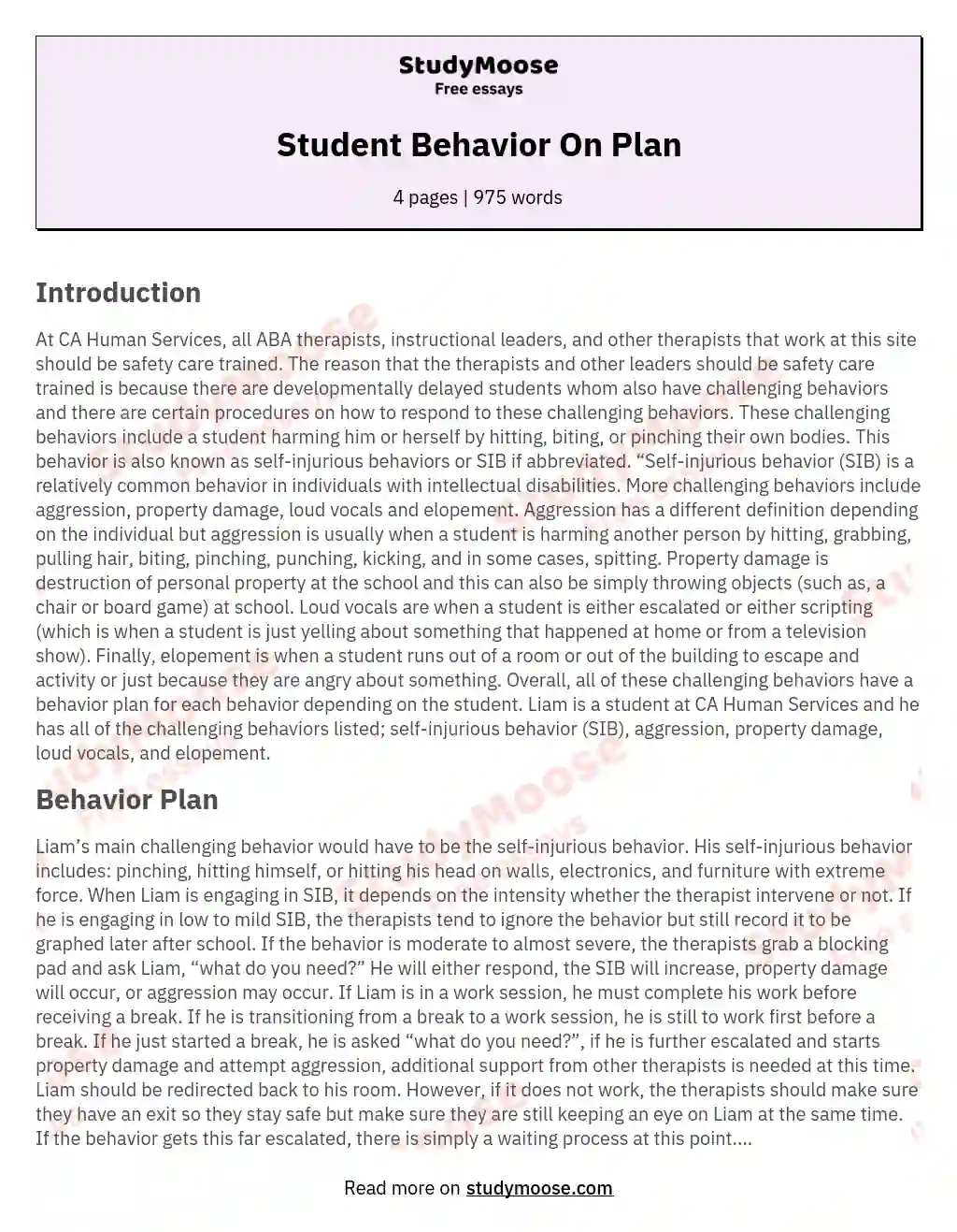 Student Behavior On Plan essay
