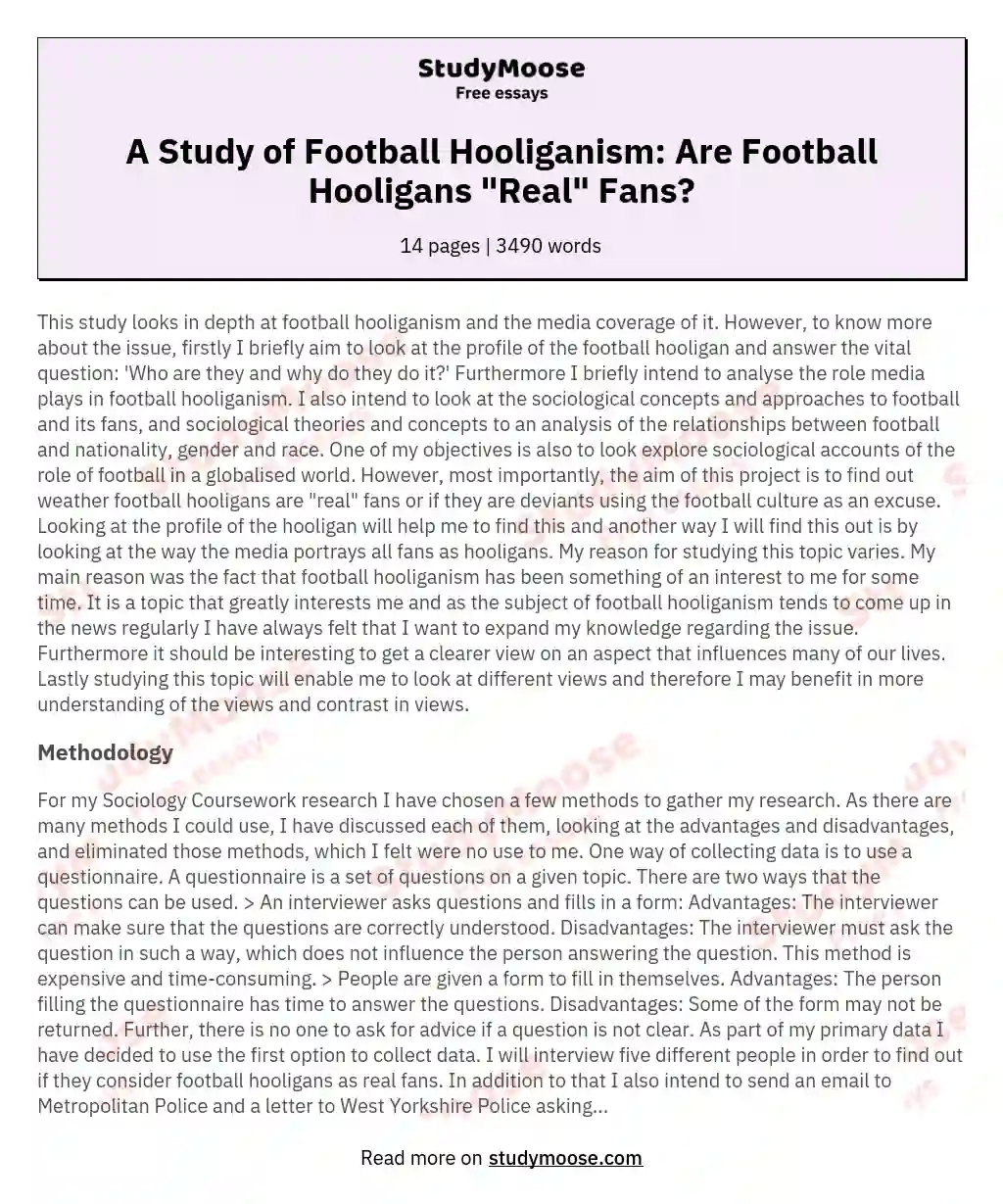 A Study of Football Hooliganism: Are Football Hooligans "Real" Fans? essay