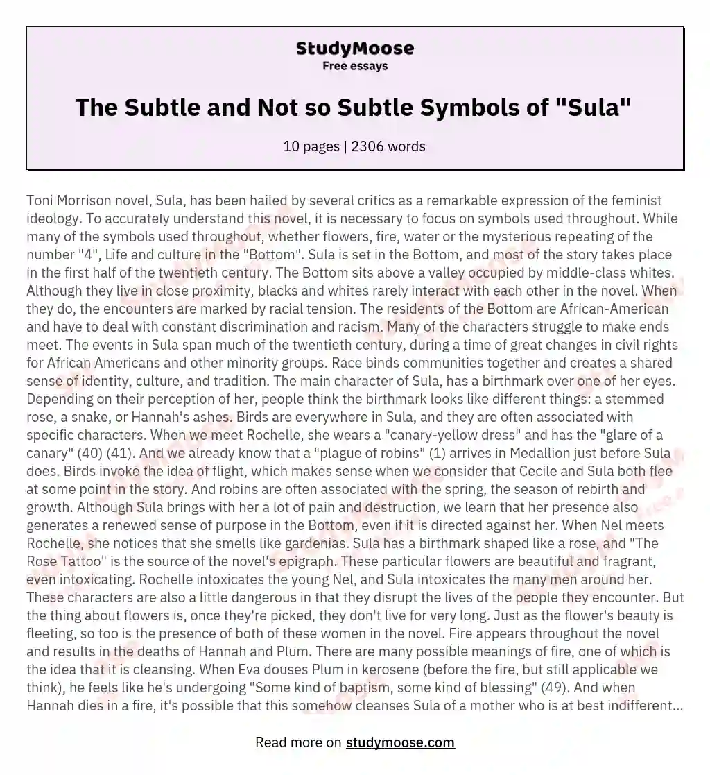 The Subtle and Not so Subtle Symbols of "Sula"  essay