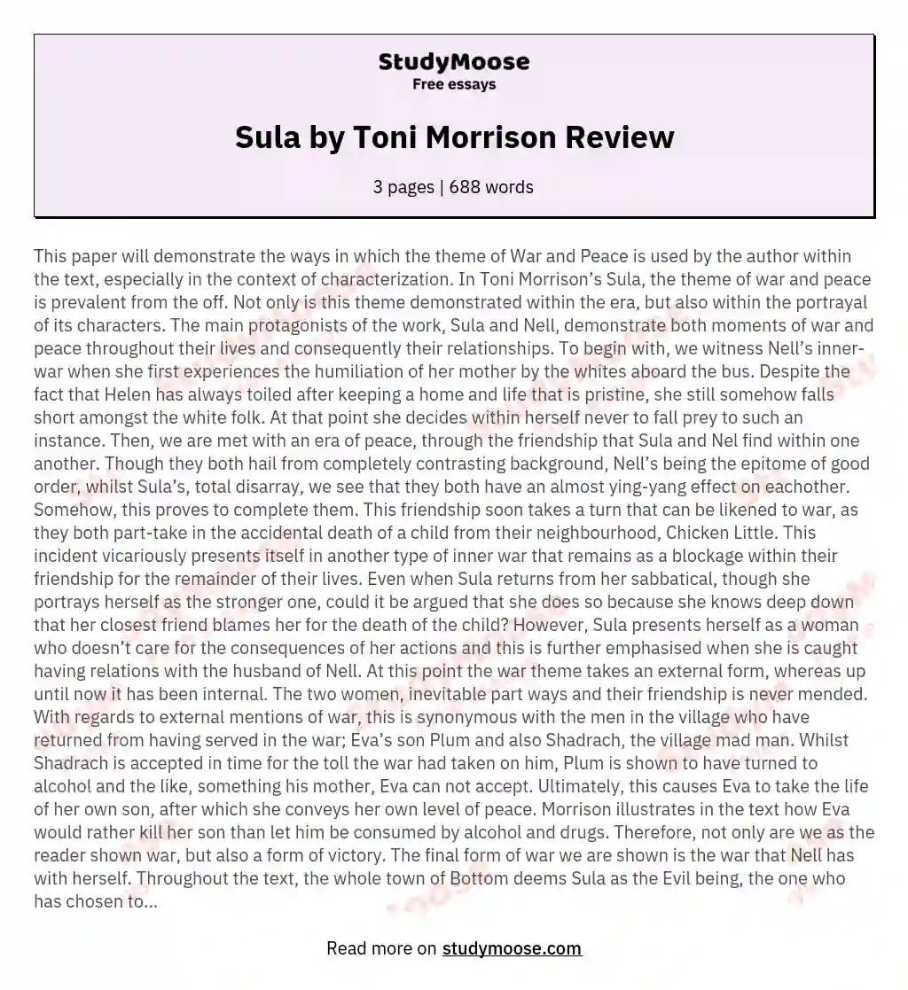 Sula by Toni Morrison Review essay