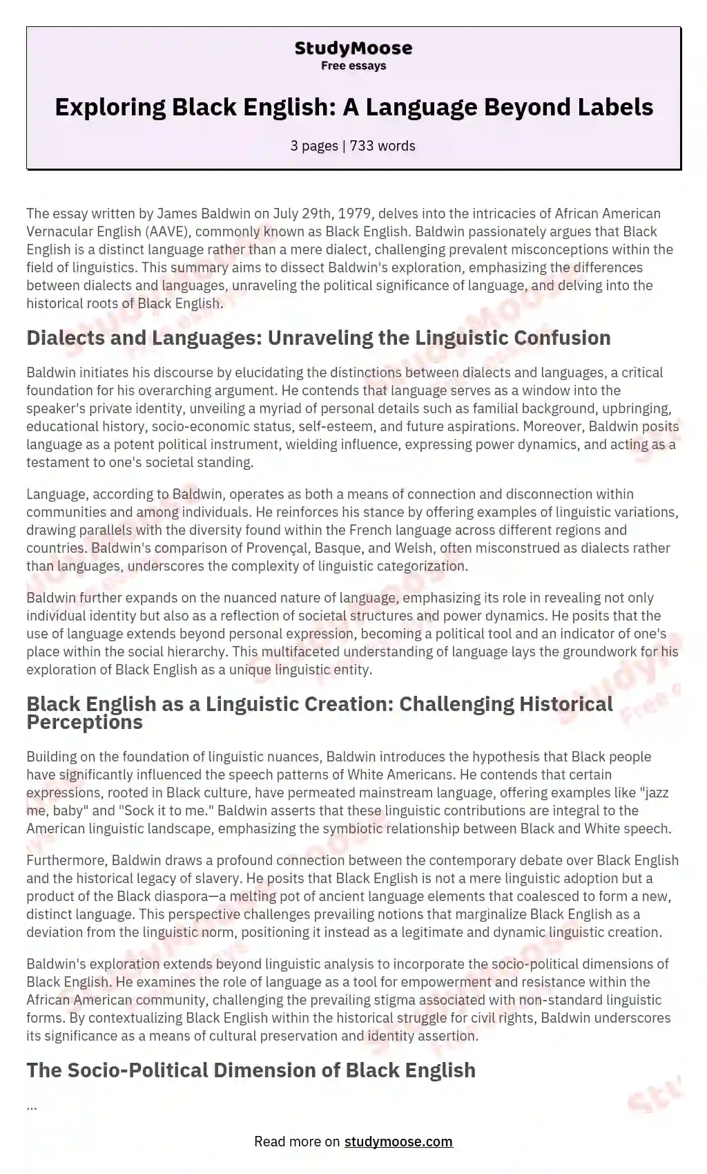 Exploring Black English: A Language Beyond Labels essay