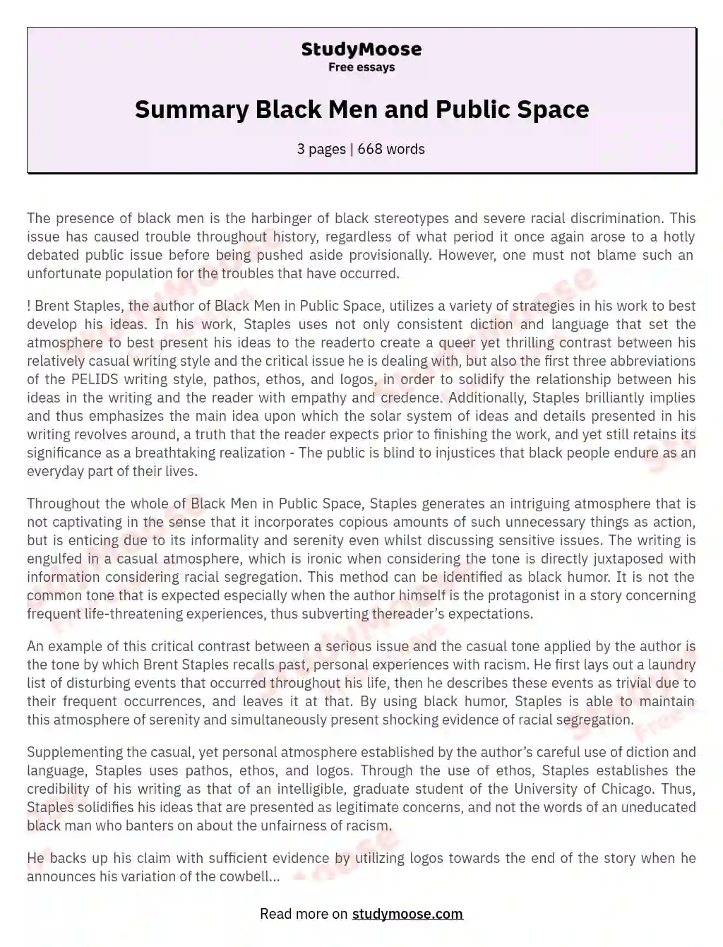 Summary Black Men and Public Space essay