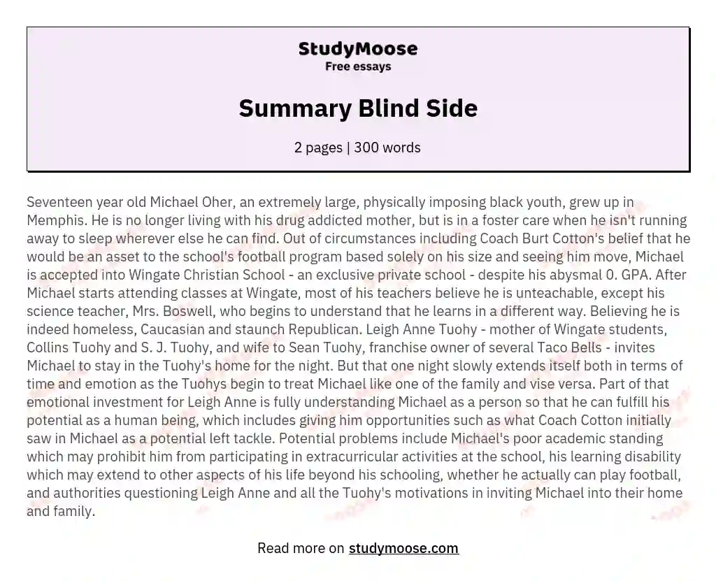 Summary Blind Side