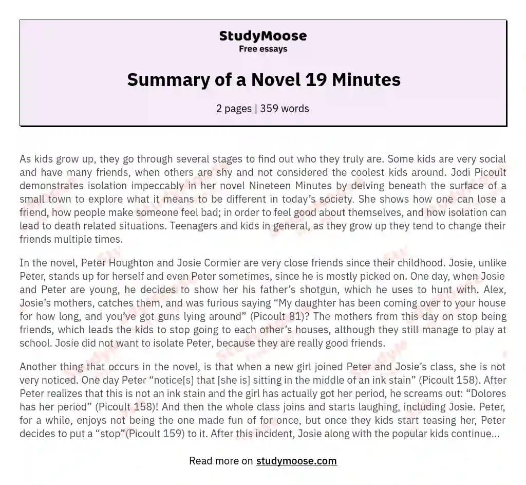 Summary of a Novel 19 Minutes essay