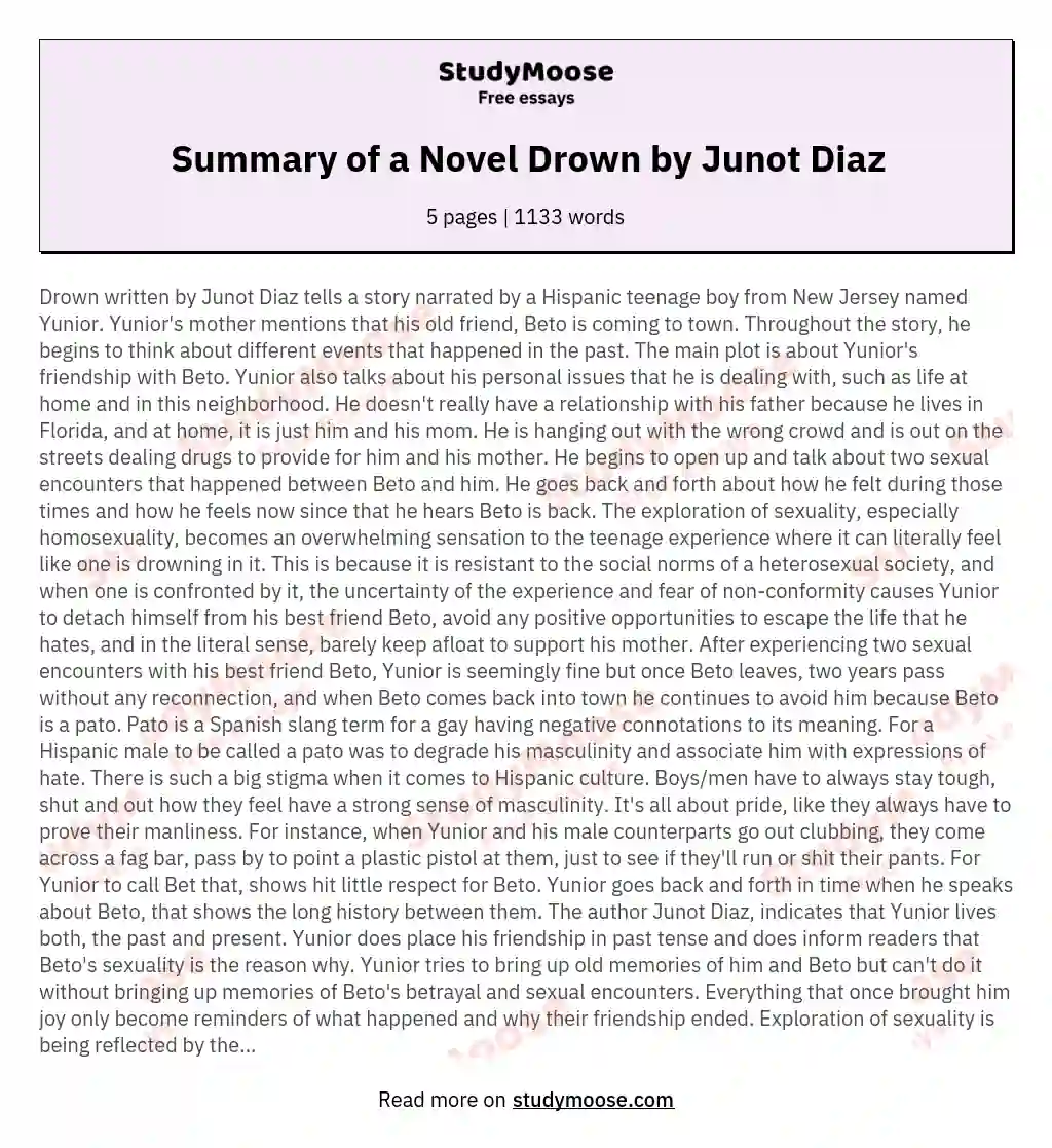 Summary of a Novel Drown by Junot Diaz essay