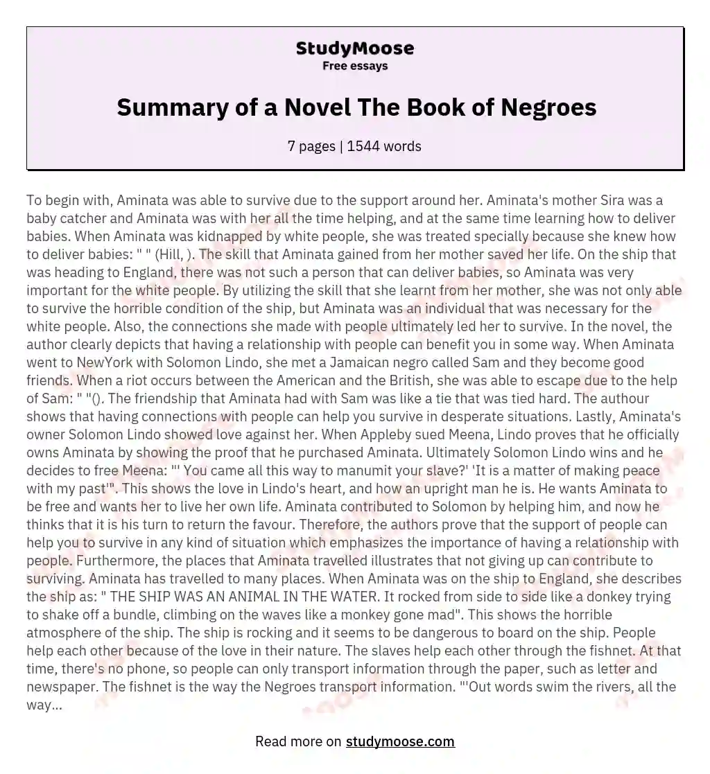 Summary of a Novel The Book of Negroes essay