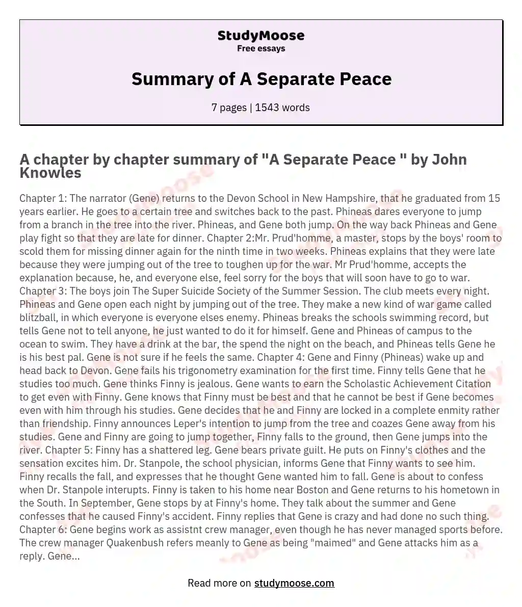 Summary of A Separate Peace essay