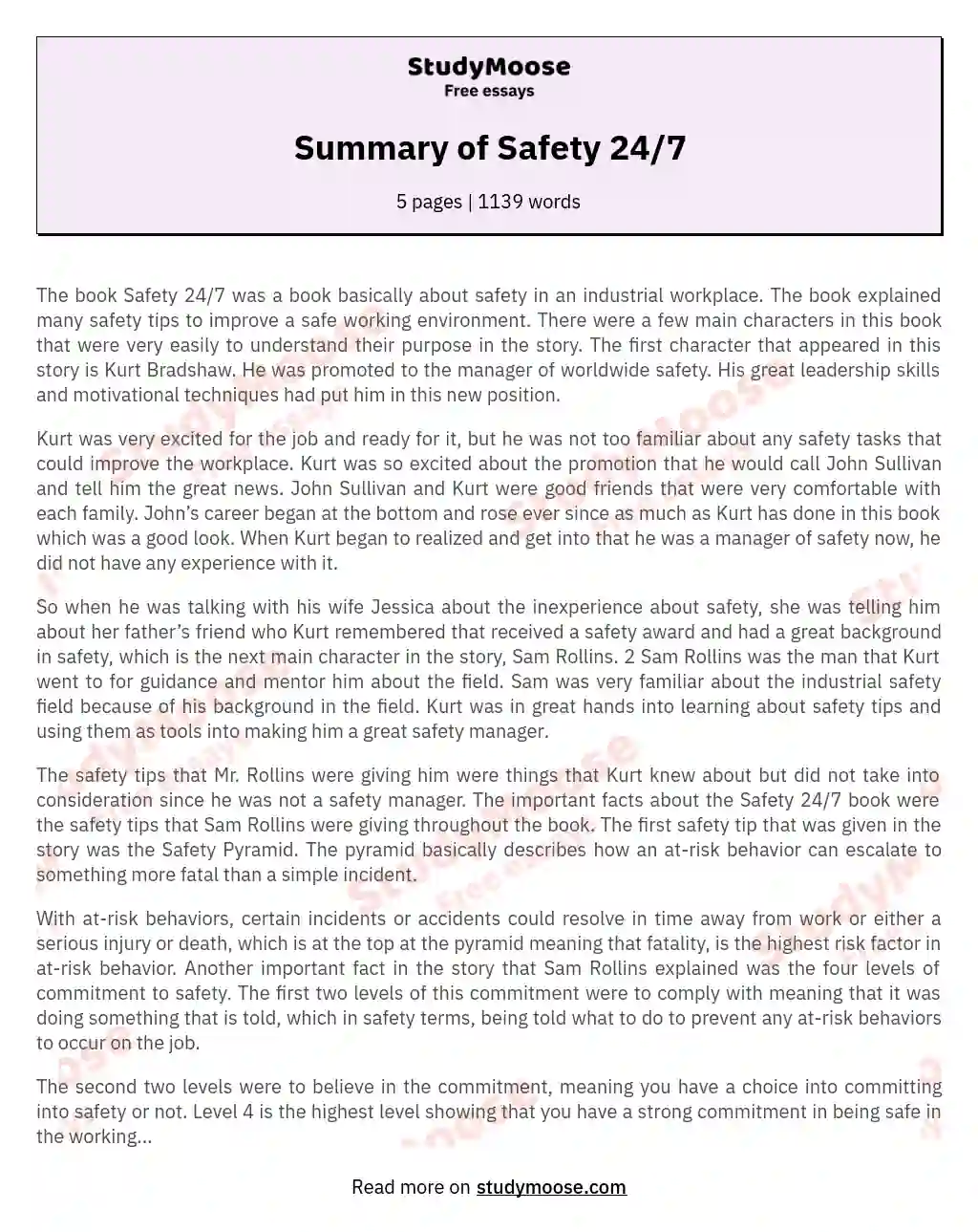 Summary of Safety 24/7 essay