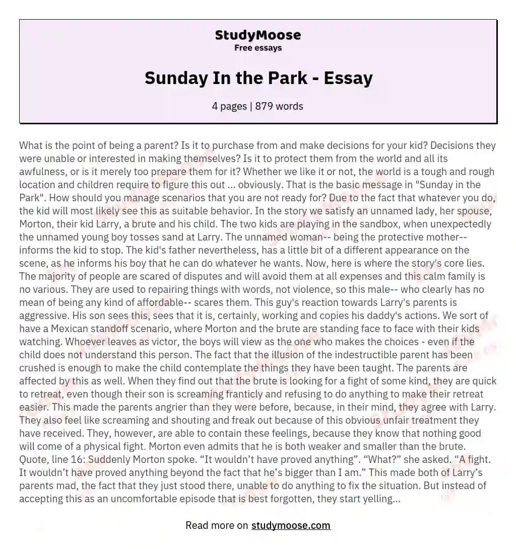 Sunday In the Park - Essay