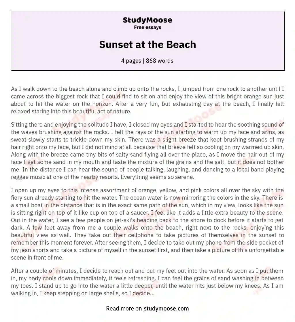 Sunset at the Beach essay