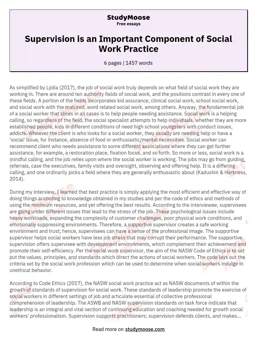 Supervision is an Important Component of Social Work Practice essay