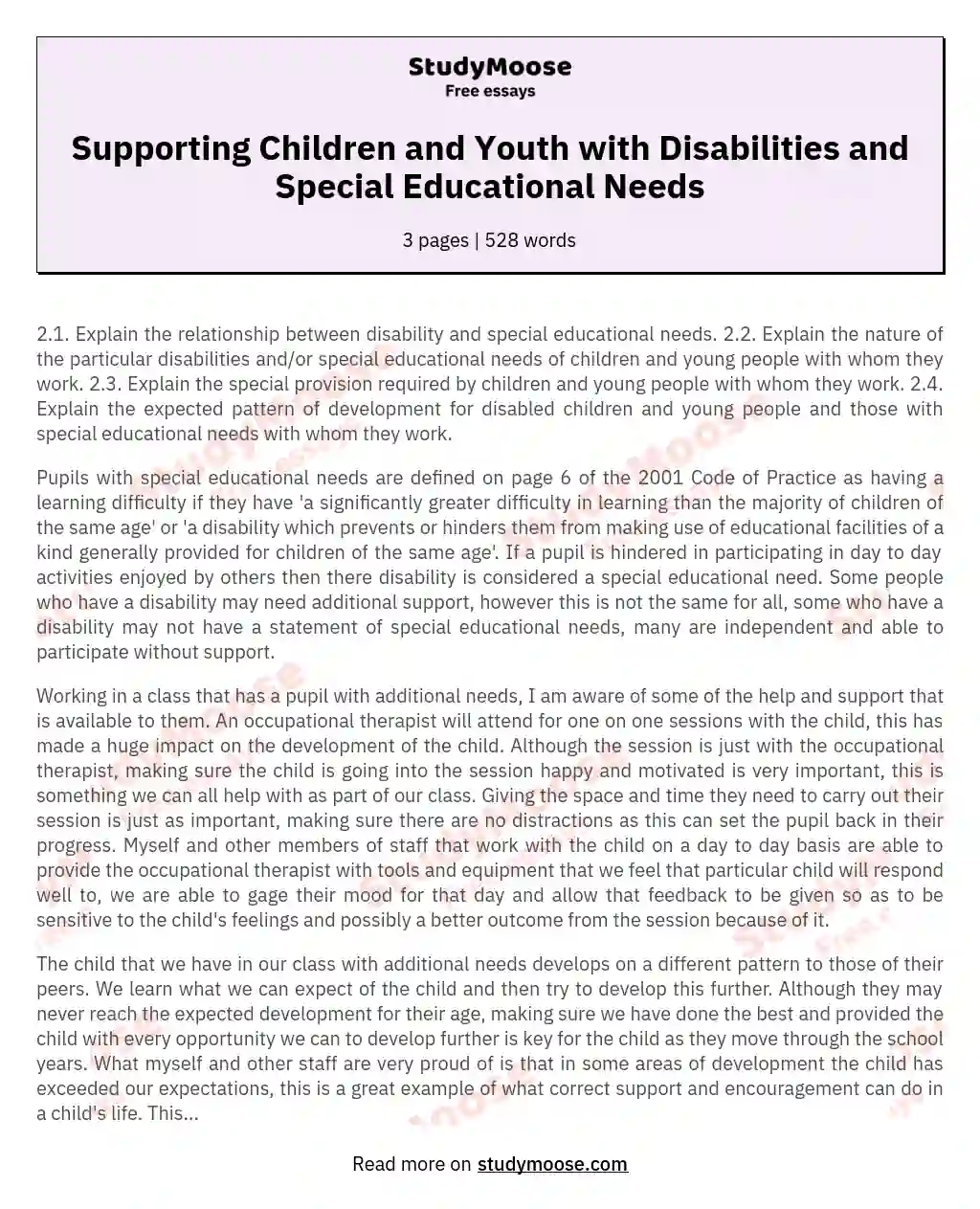 Supporting Children and Youth with Disabilities and Special Educational Needs essay