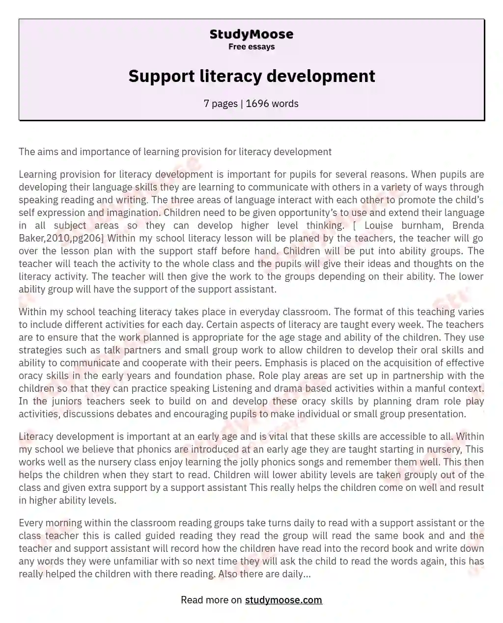 Support literacy development essay
