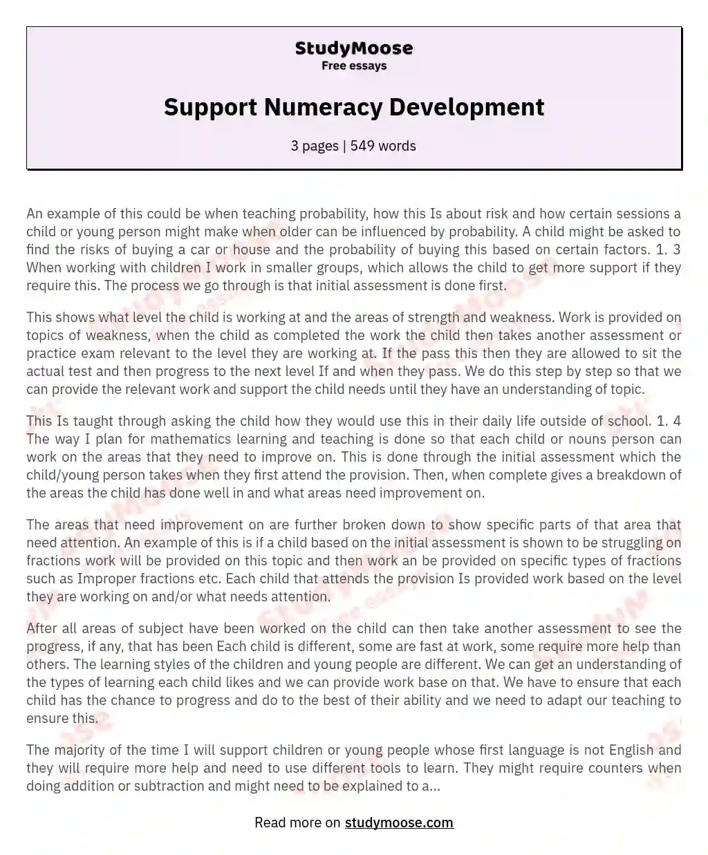 Support Numeracy Development essay