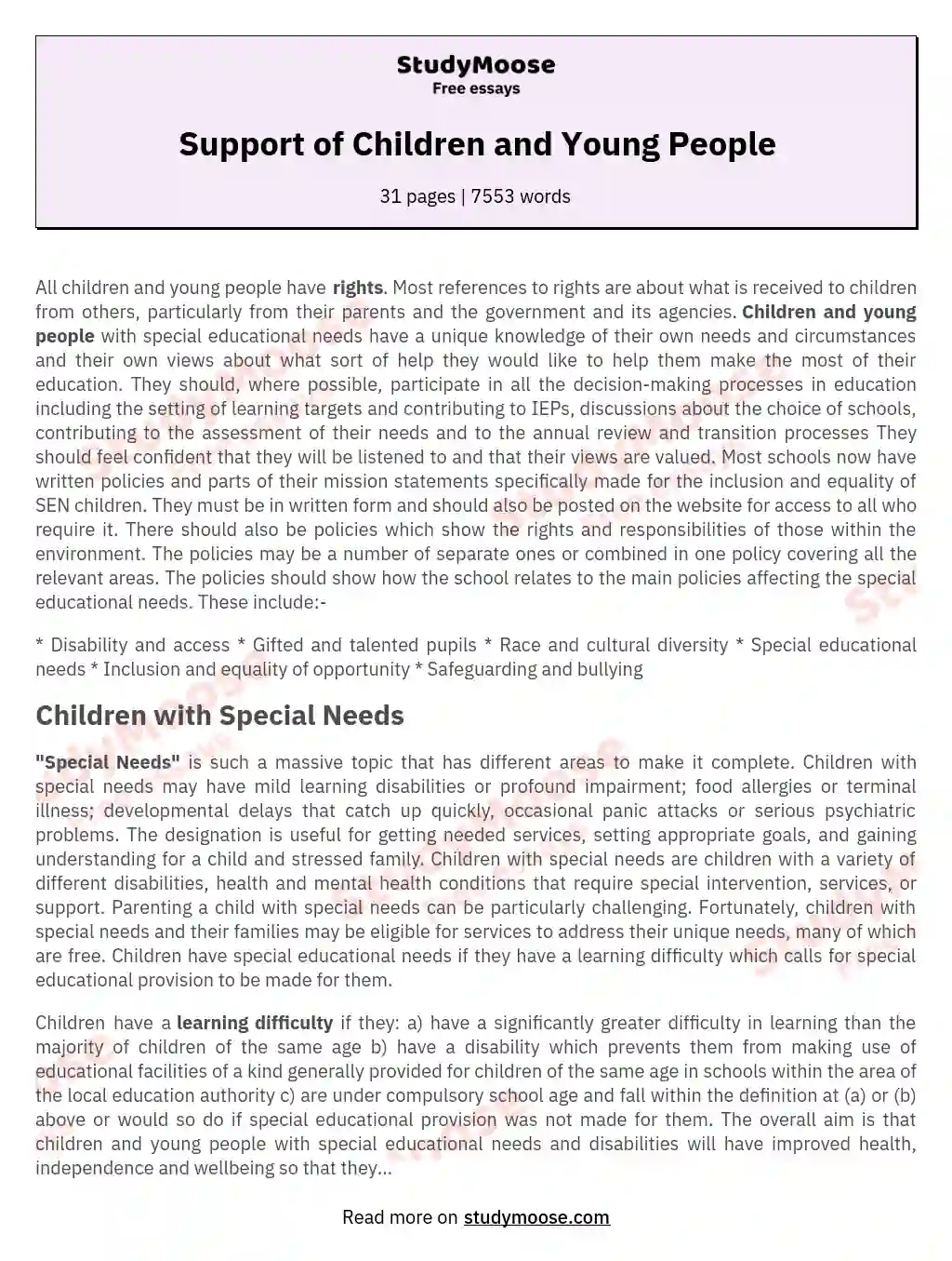Support of Children and Young People essay
