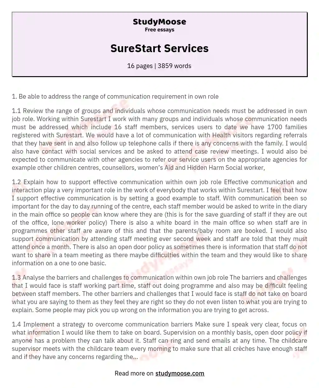 SureStart Services essay