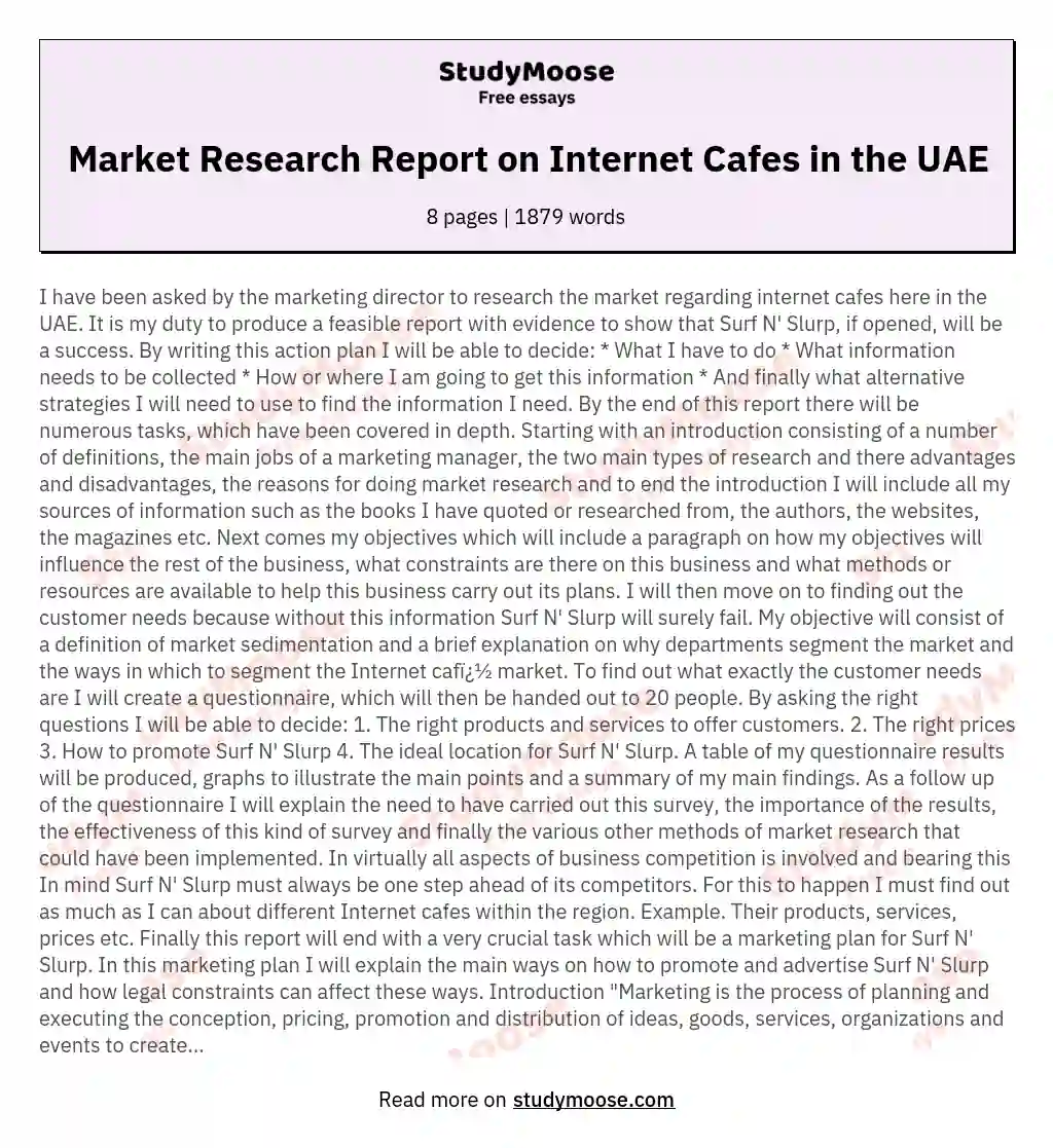 Market Research Report on Internet Cafes in the UAE essay