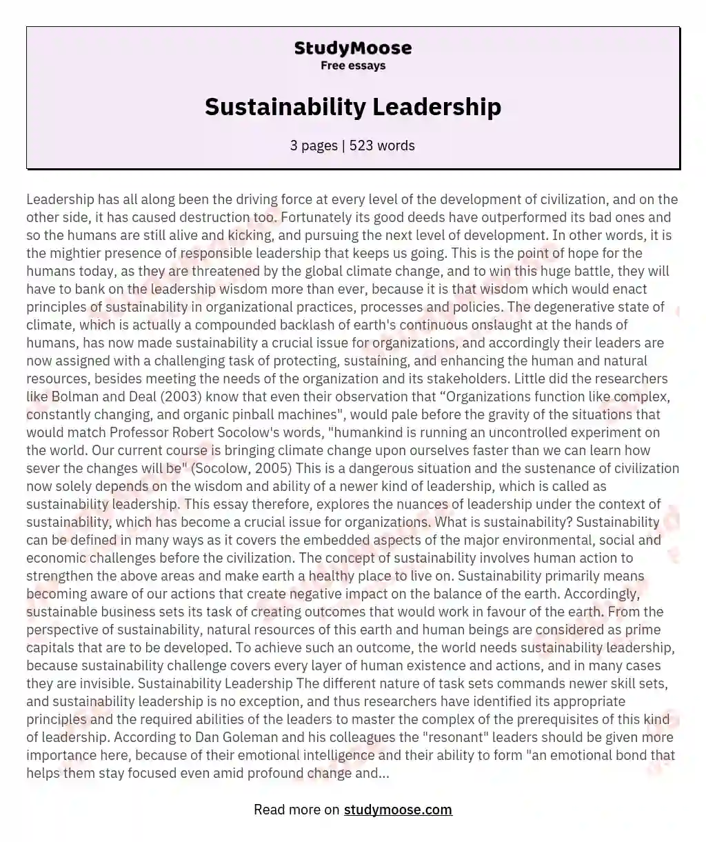 Sustainability Leadership essay