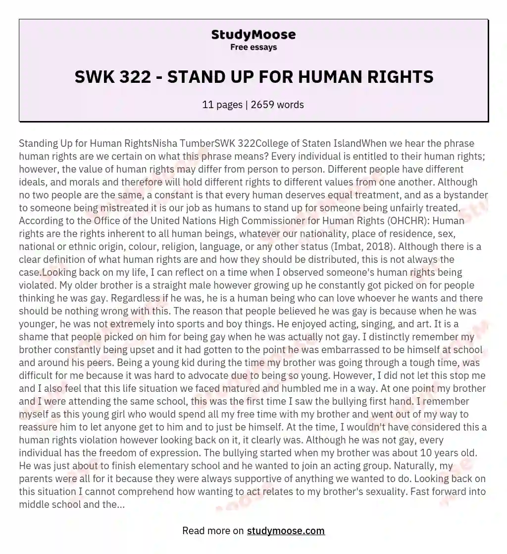 stand up for human rights essay